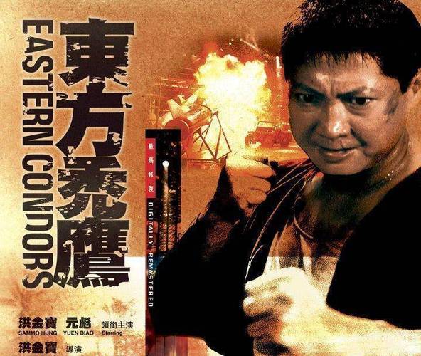 观看在线东方秃鹰电视剧_东方秃鹰-在线观看_观看在线东方秃鹰视频