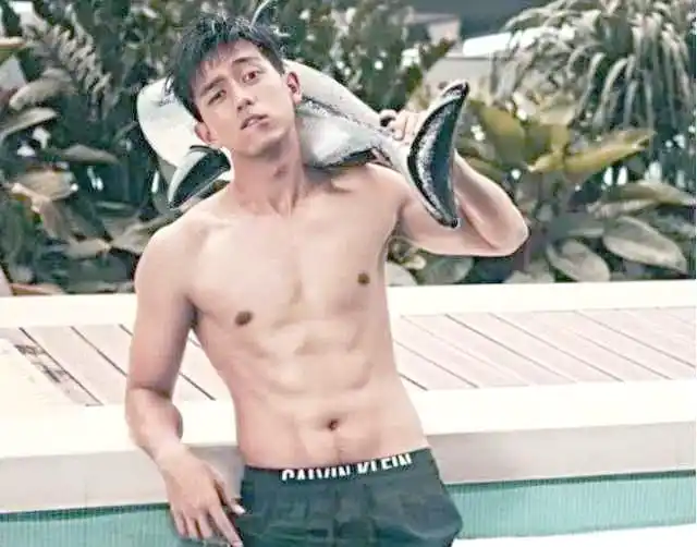 健身明星闪耀娱乐圈：他们的努力与魅力