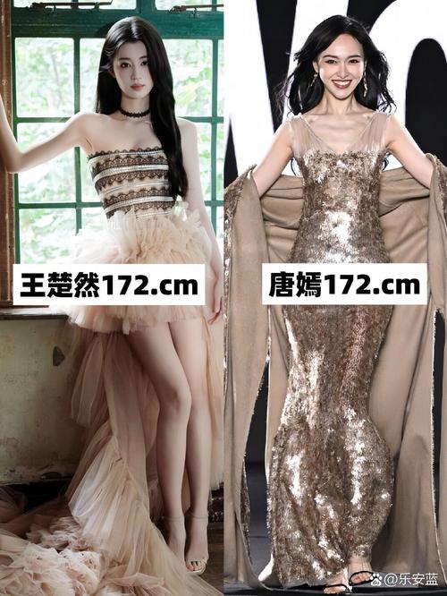 身高一米七的女明星_l米58身高女明星_身高成谜的明星